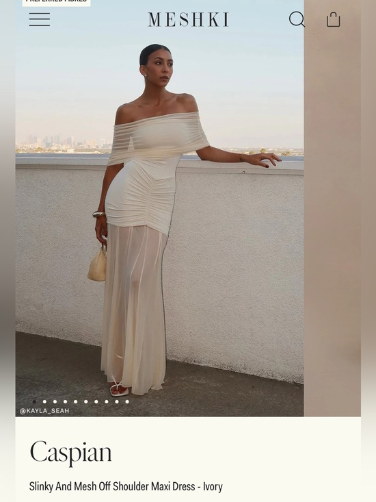 Meshki Dresses & Skirts - Meshki Slinky And Mesh Off Shoulder Maxi Dress